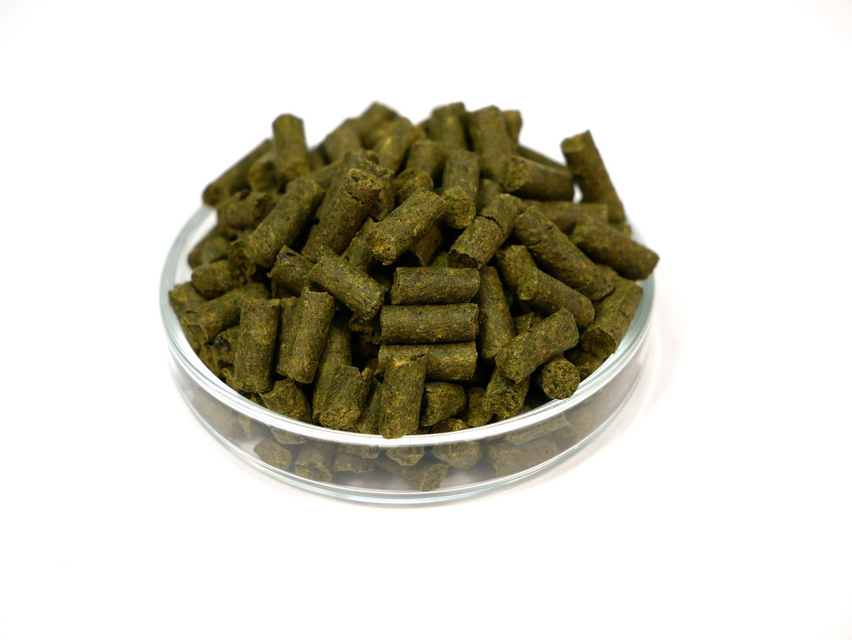 GARNELEN4YOU® Carny Sticks 30g