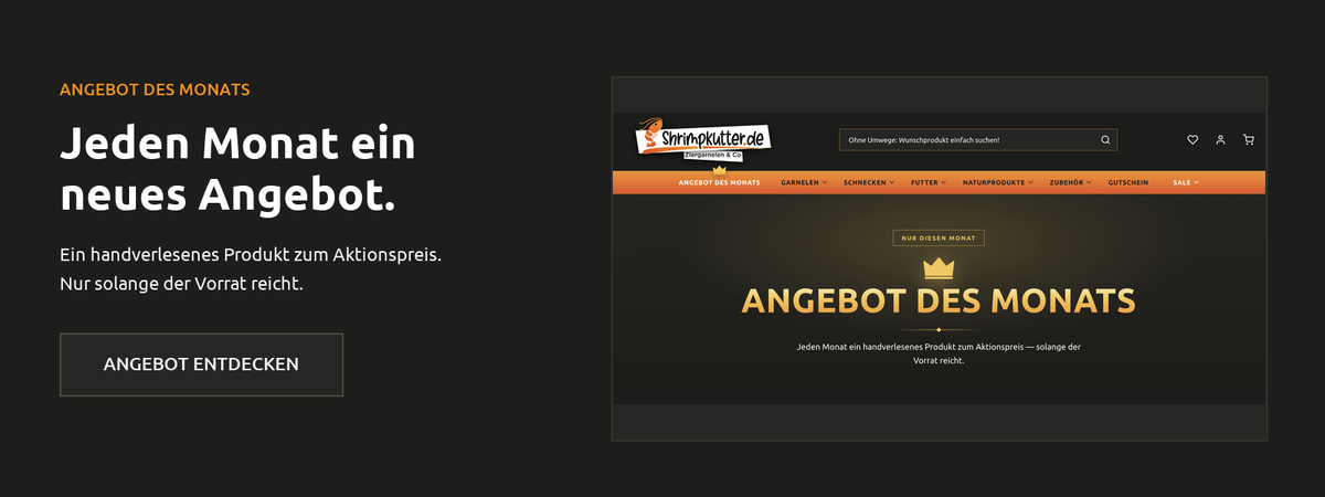 Angebot des Monats bei Shrimpkutter.de