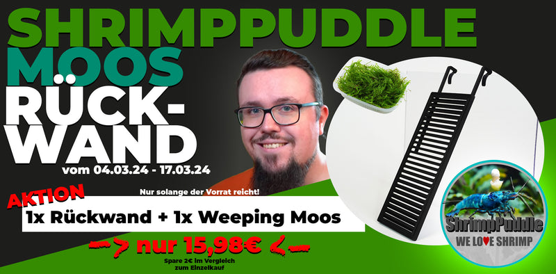 Shrimppuddle Aktion