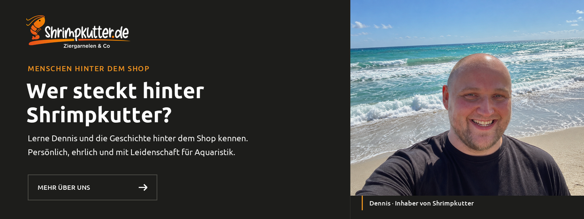 Über uns – Dennis von Shrimpkutter kennenlernen